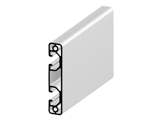 Profil 16x80 light, natur Profil 16x80 light, natur